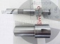 柱塞Plunger (CH1812-D13)